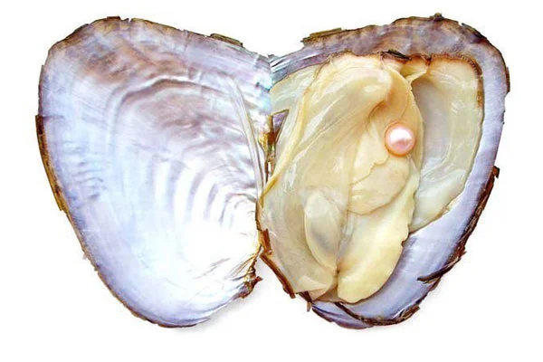 Обложка Слезы морской нимфы