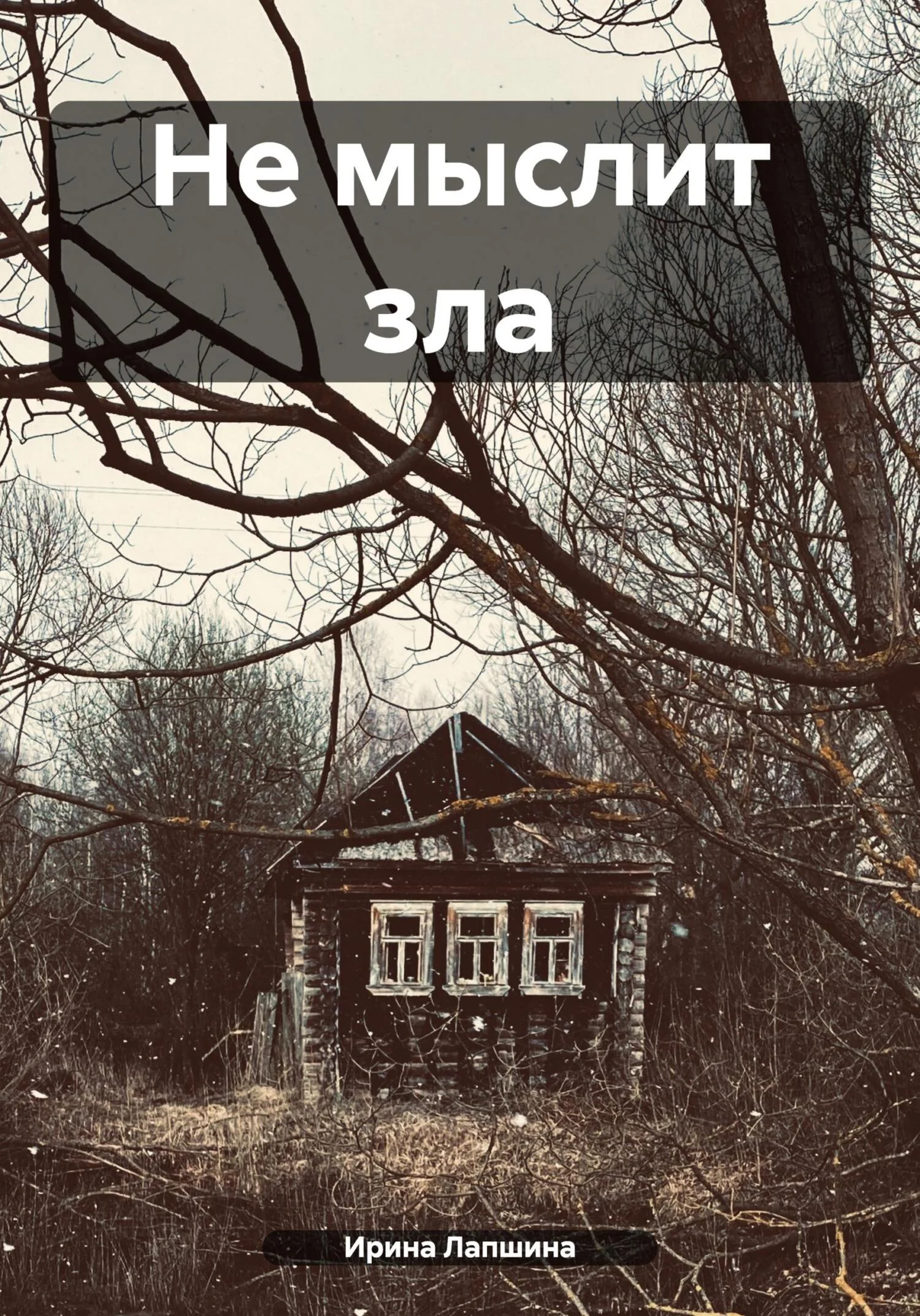 Обложка Не мыслит зла