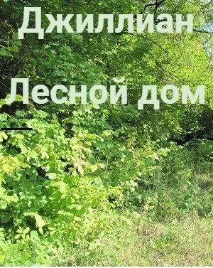 Обложка Лесной дом (СИ)