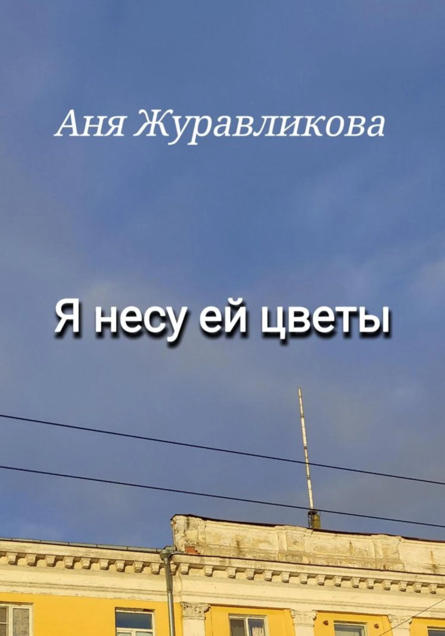Обложка Я несу ей цветы