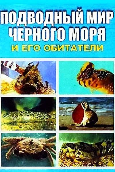 Обложка Подводный мир Черного моря