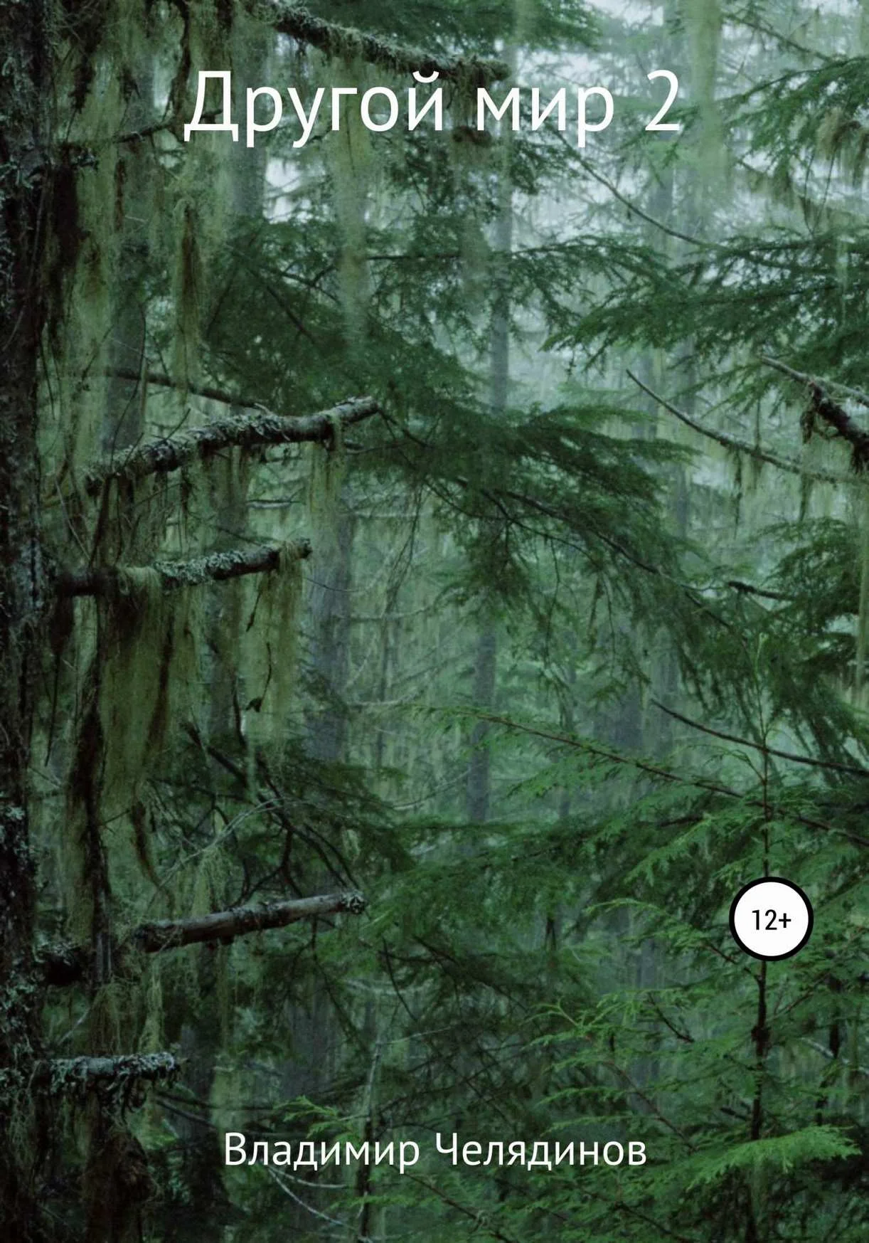 Обложка Другой мир 2