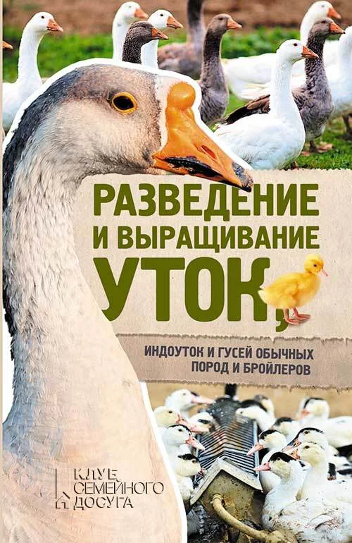 Обложка Разведение и выращивание уток, индоуток и гусей обычных пород и бройлеров