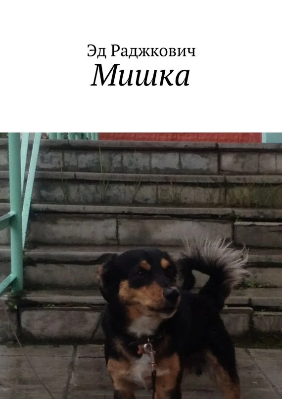 Обложка Мишка