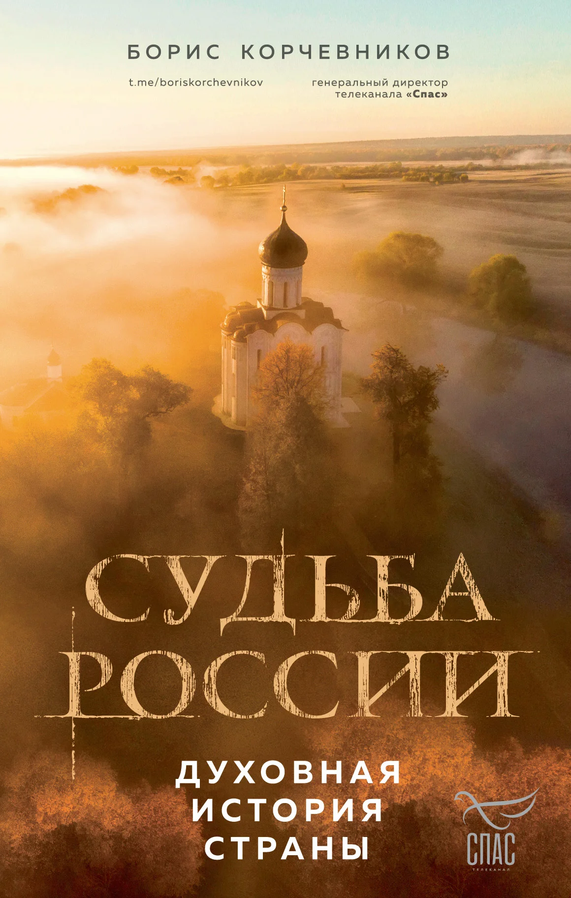 Обложка Судьба России. Духовная история страны