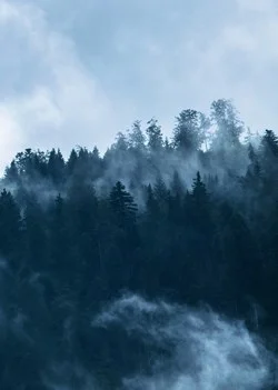 Обложка Седьмые врата