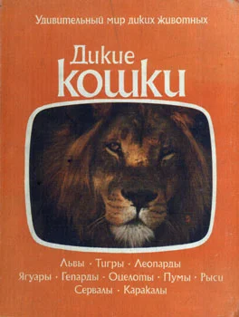 Обложка Дикие кошки