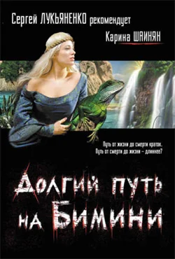 Обложка Долгий путь на Бимини