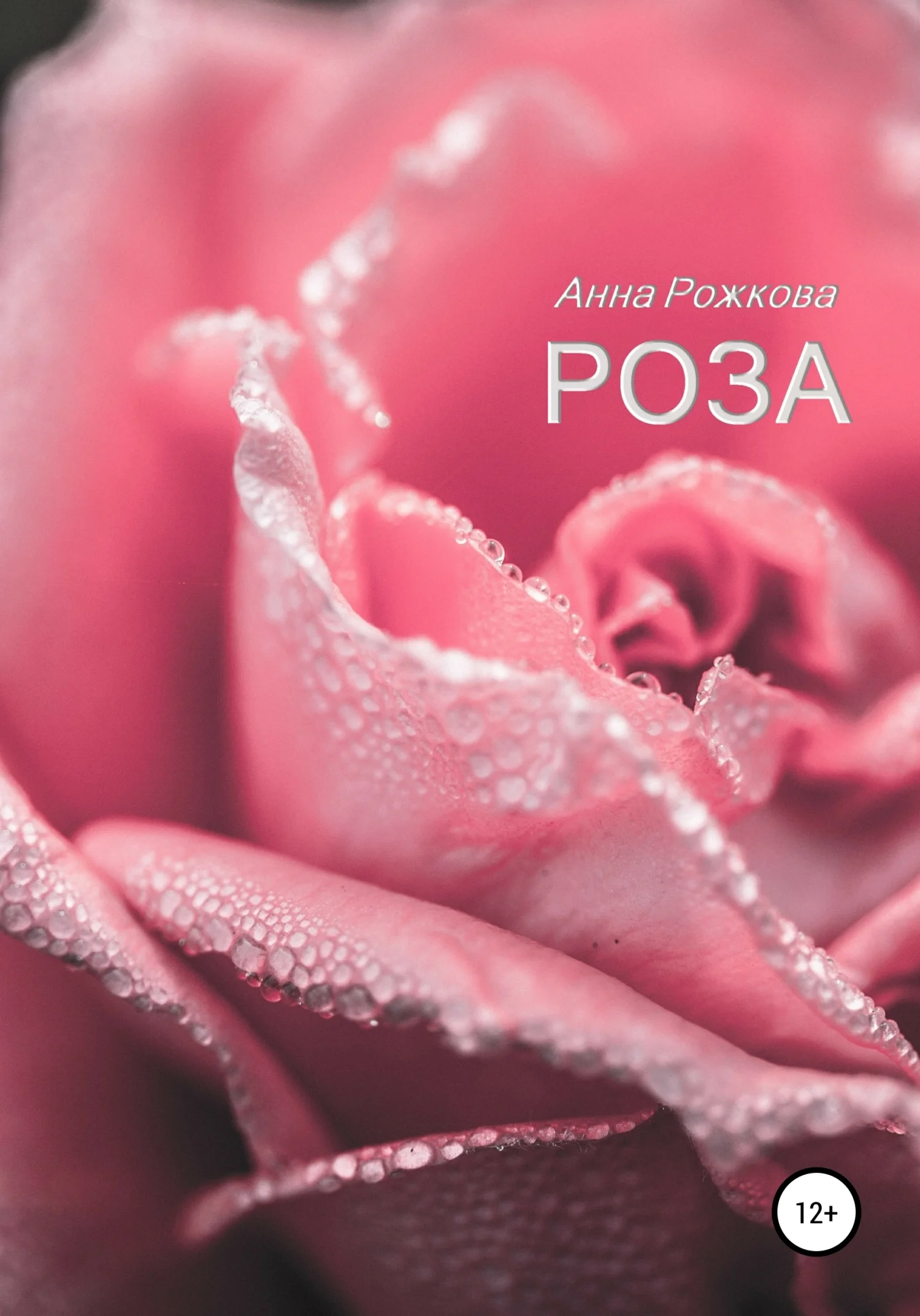 Обложка Роза