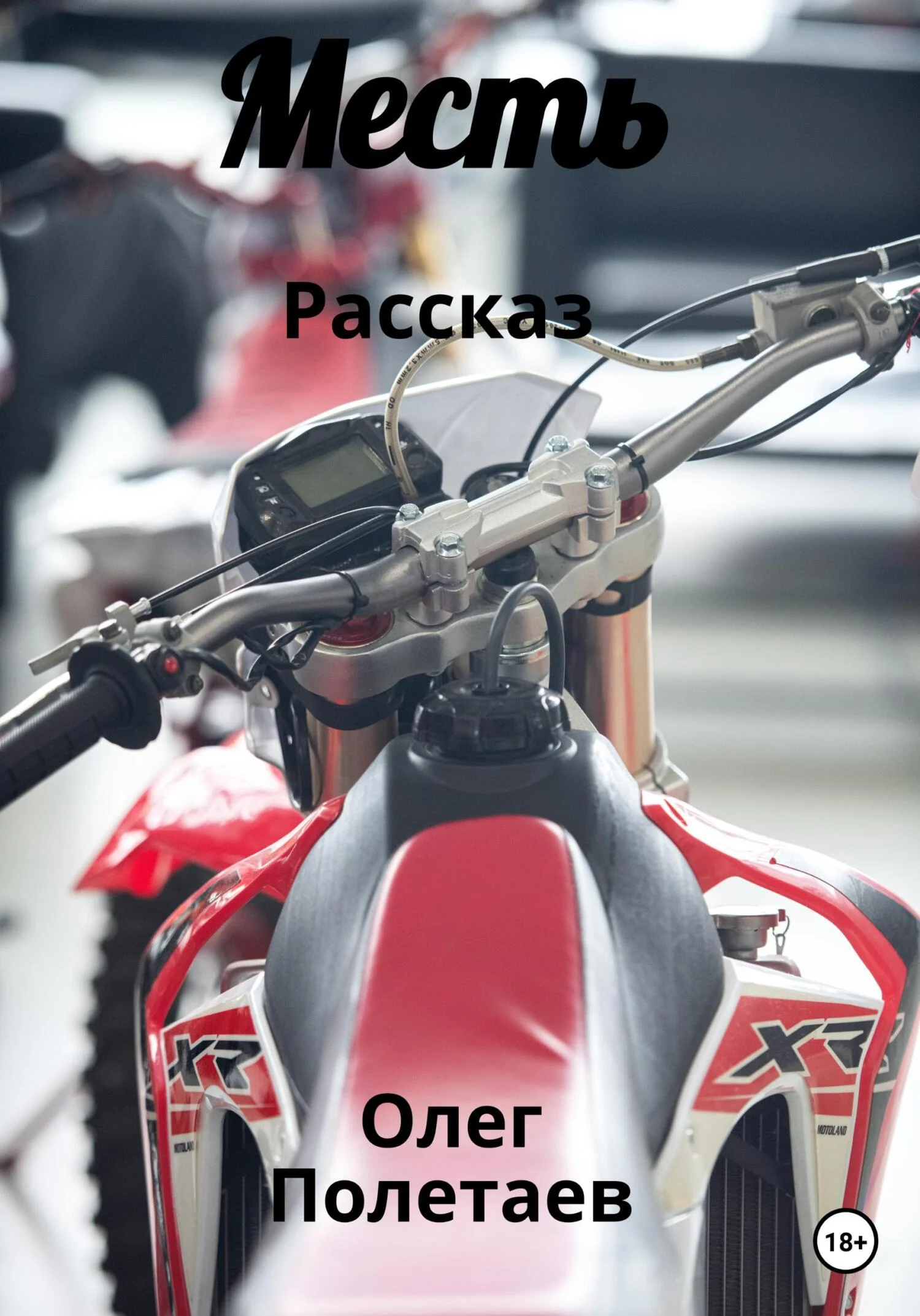 Обложка Месть