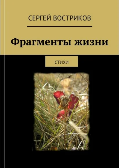 Обложка Фрагменты жизни