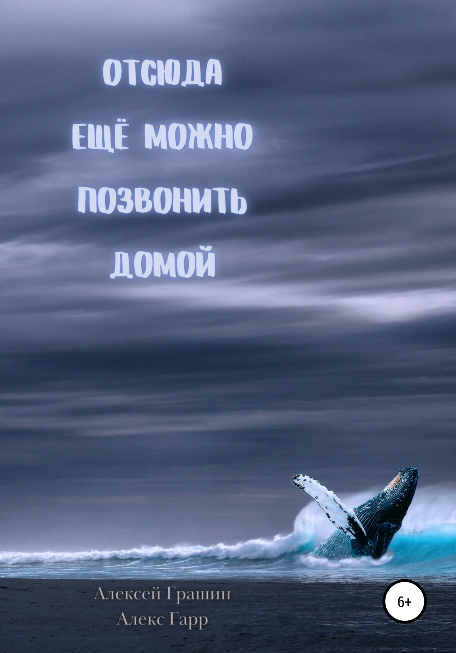 Обложка Отсюда еще можно позвонить домой