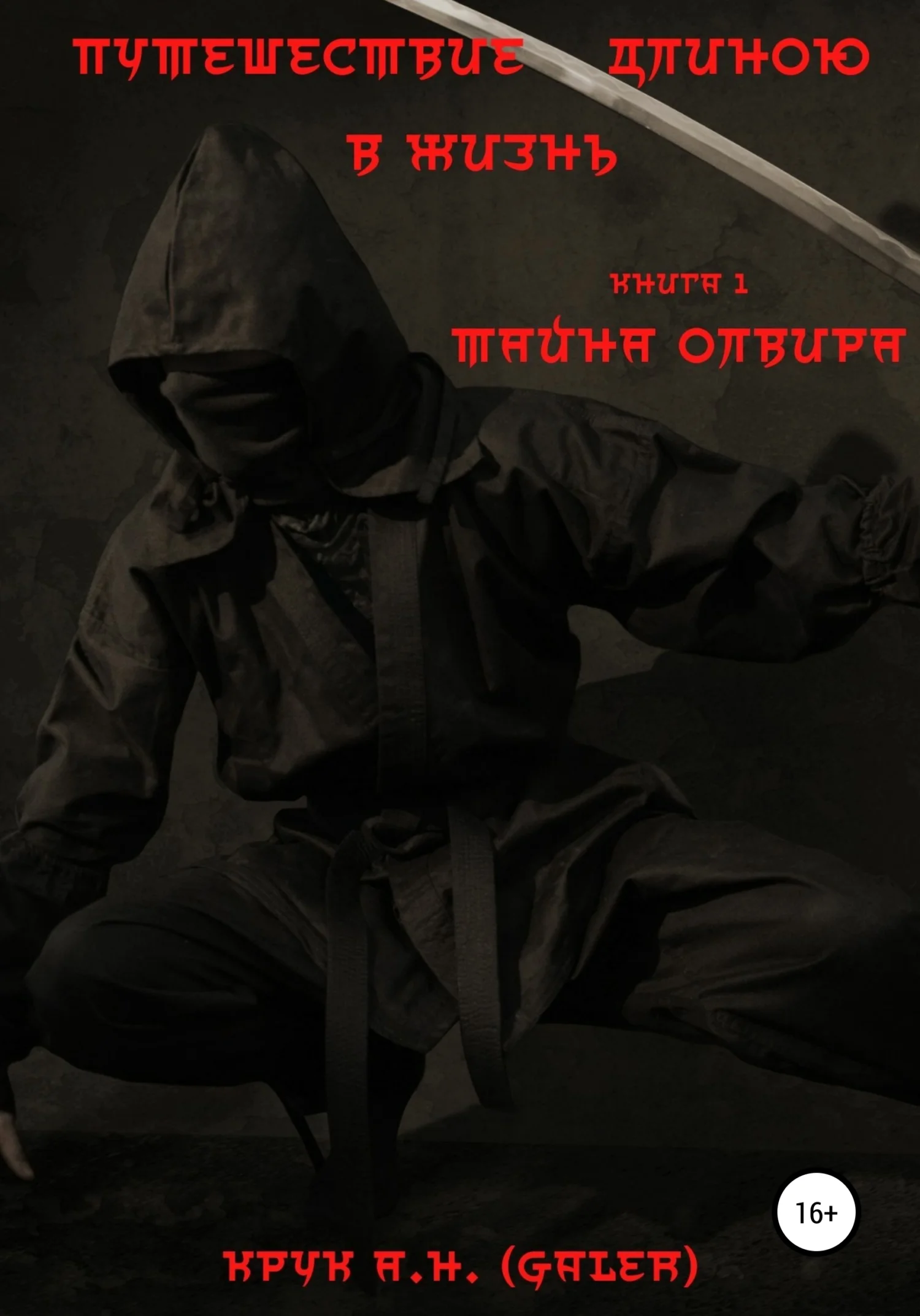 Обложка Путешествие длиною в жизнь. Тайна Олвира