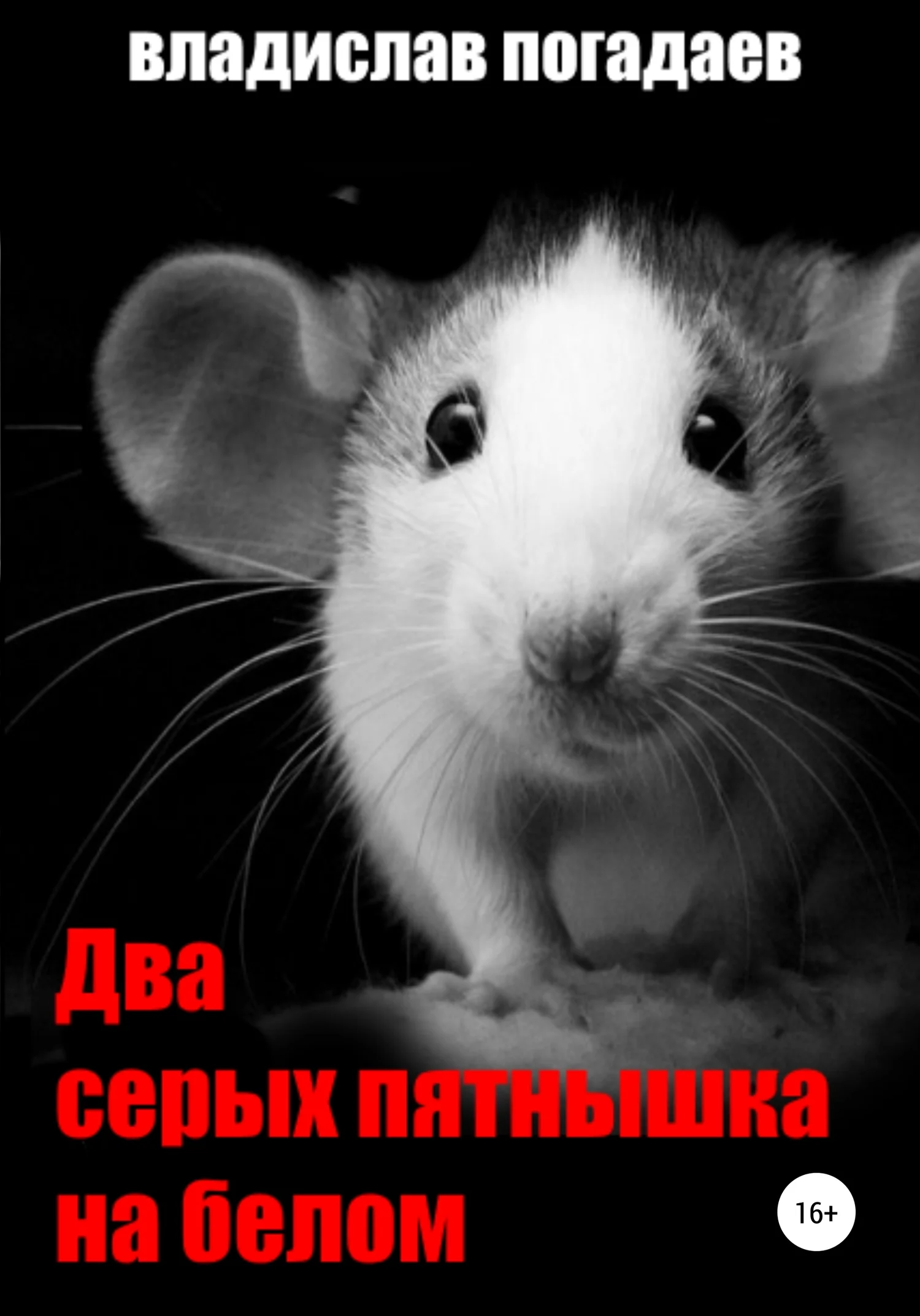 Обложка Два серых пятнышка на белом