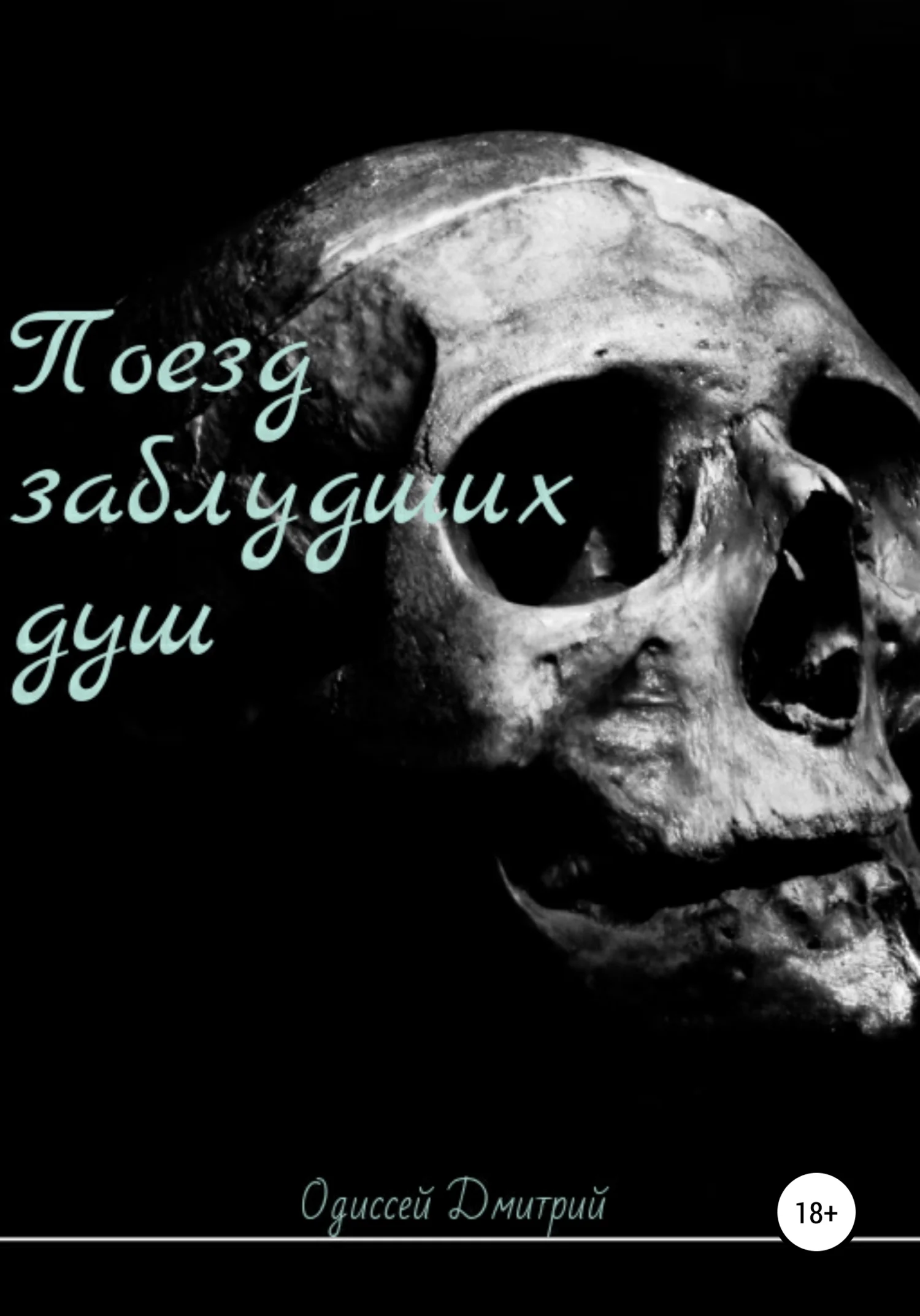 Обложка Поезд заблудших душ