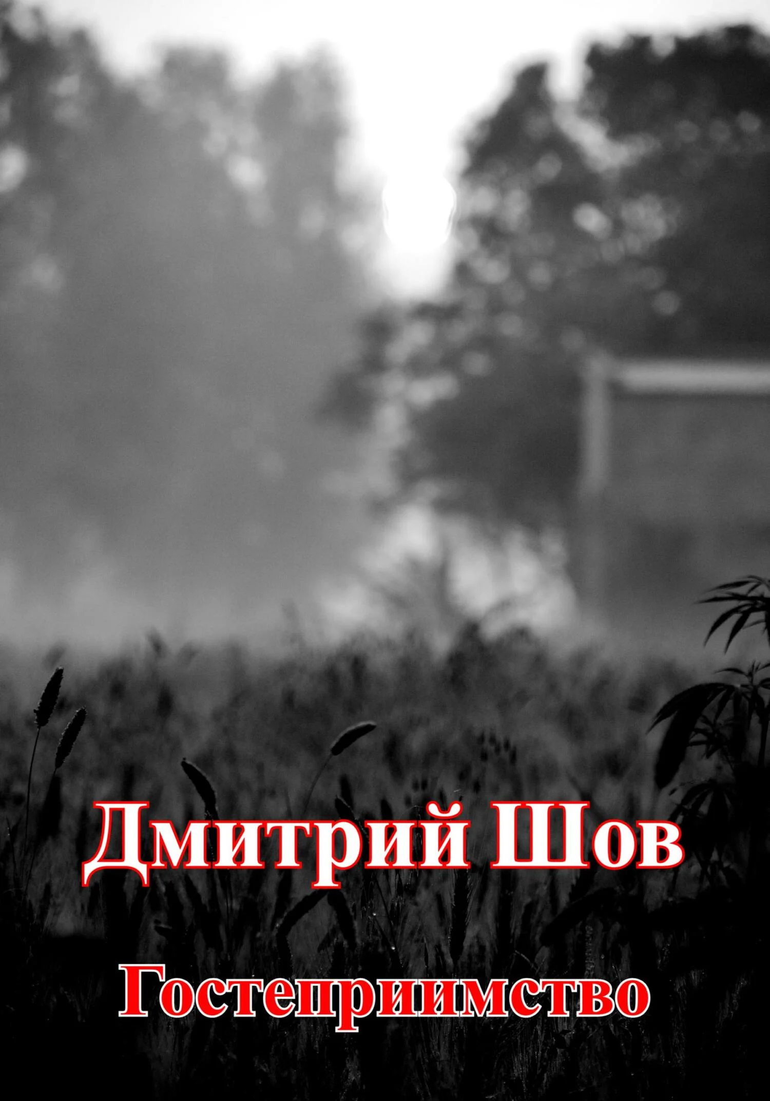 Обложка Гостеприимство