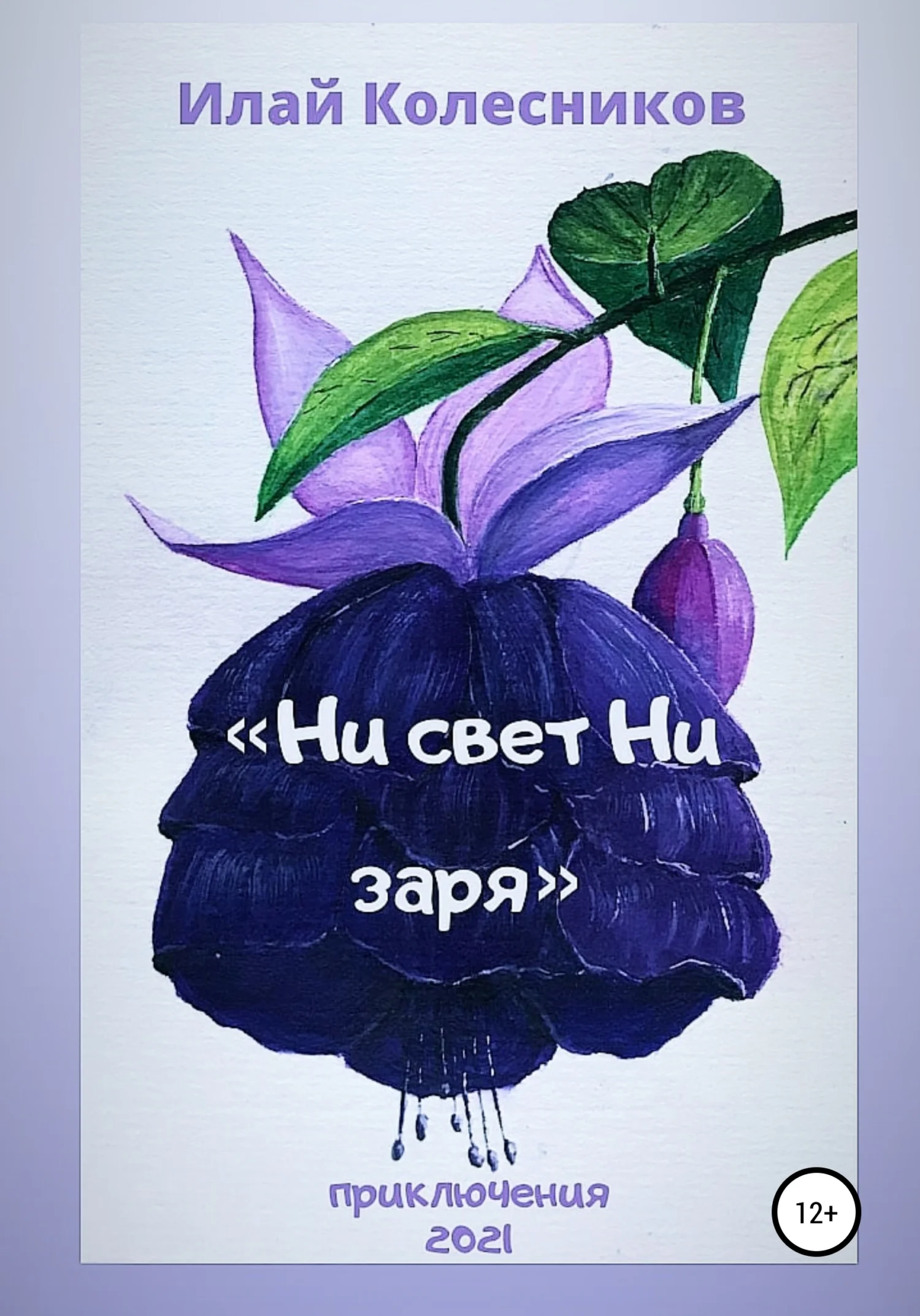 Обложка Ни свет ни заря