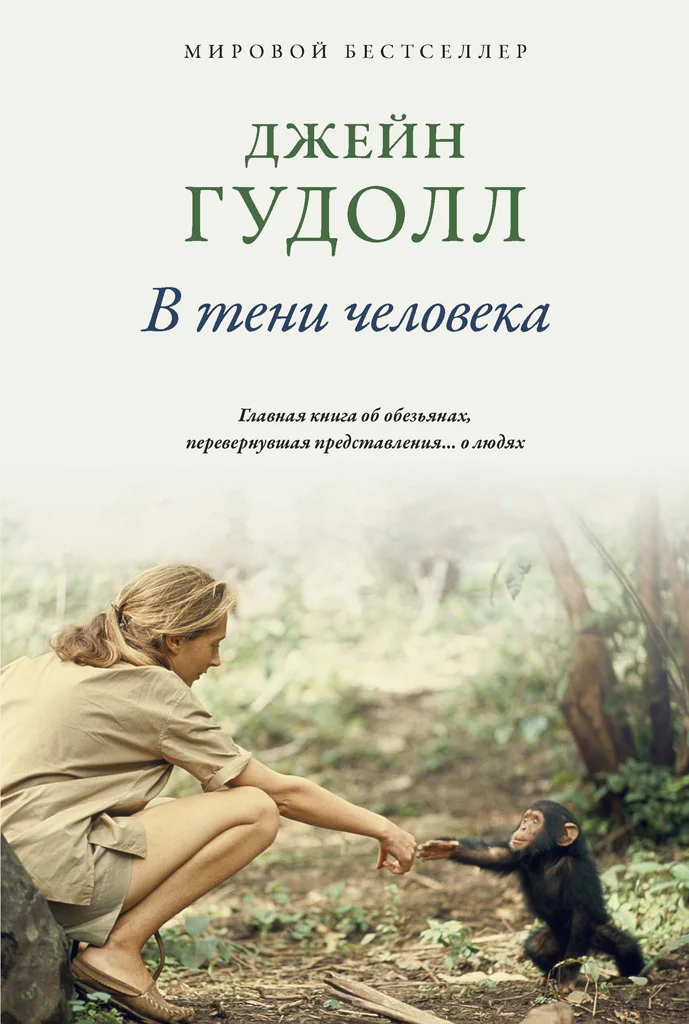 Обложка В тени человека