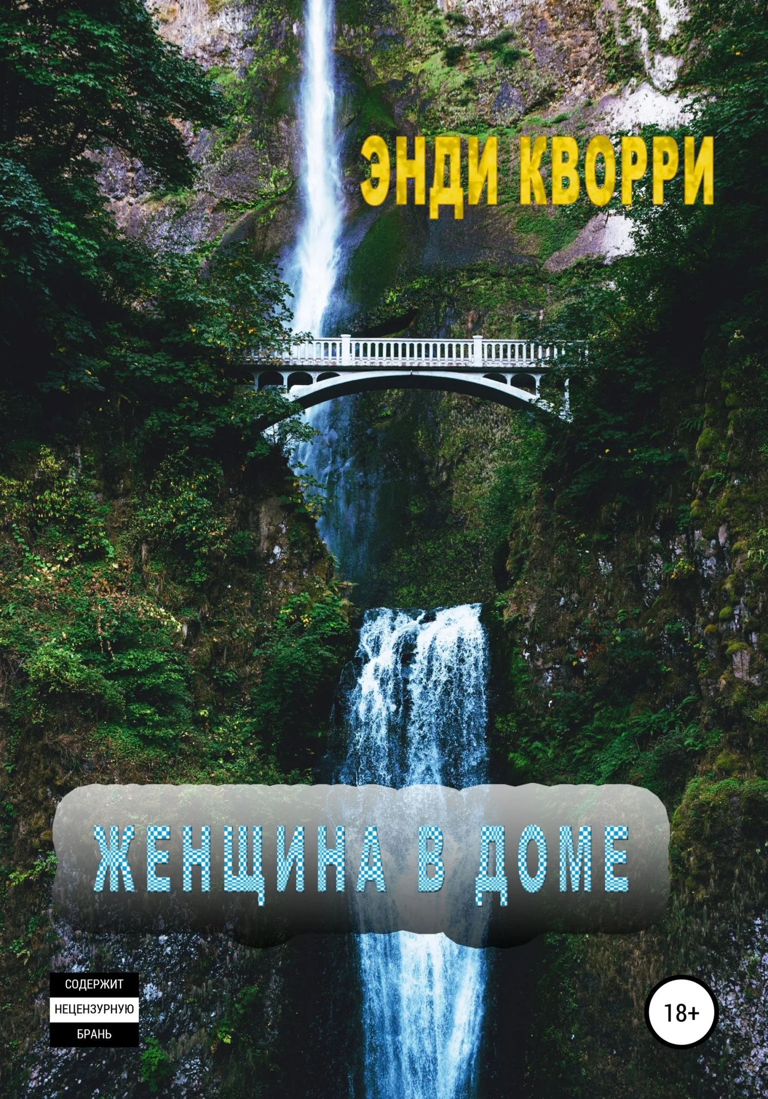 Обложка Женщина в доме