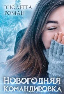 Обложка Новогодняя командировка
