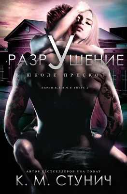 Обложка Разрушение в школе Прескотт