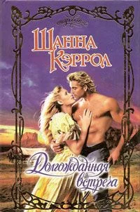 Обложка Долгожданная встреча