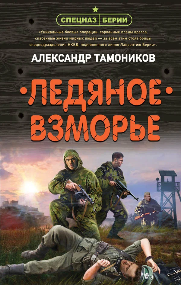 Обложка Ледяное взморье