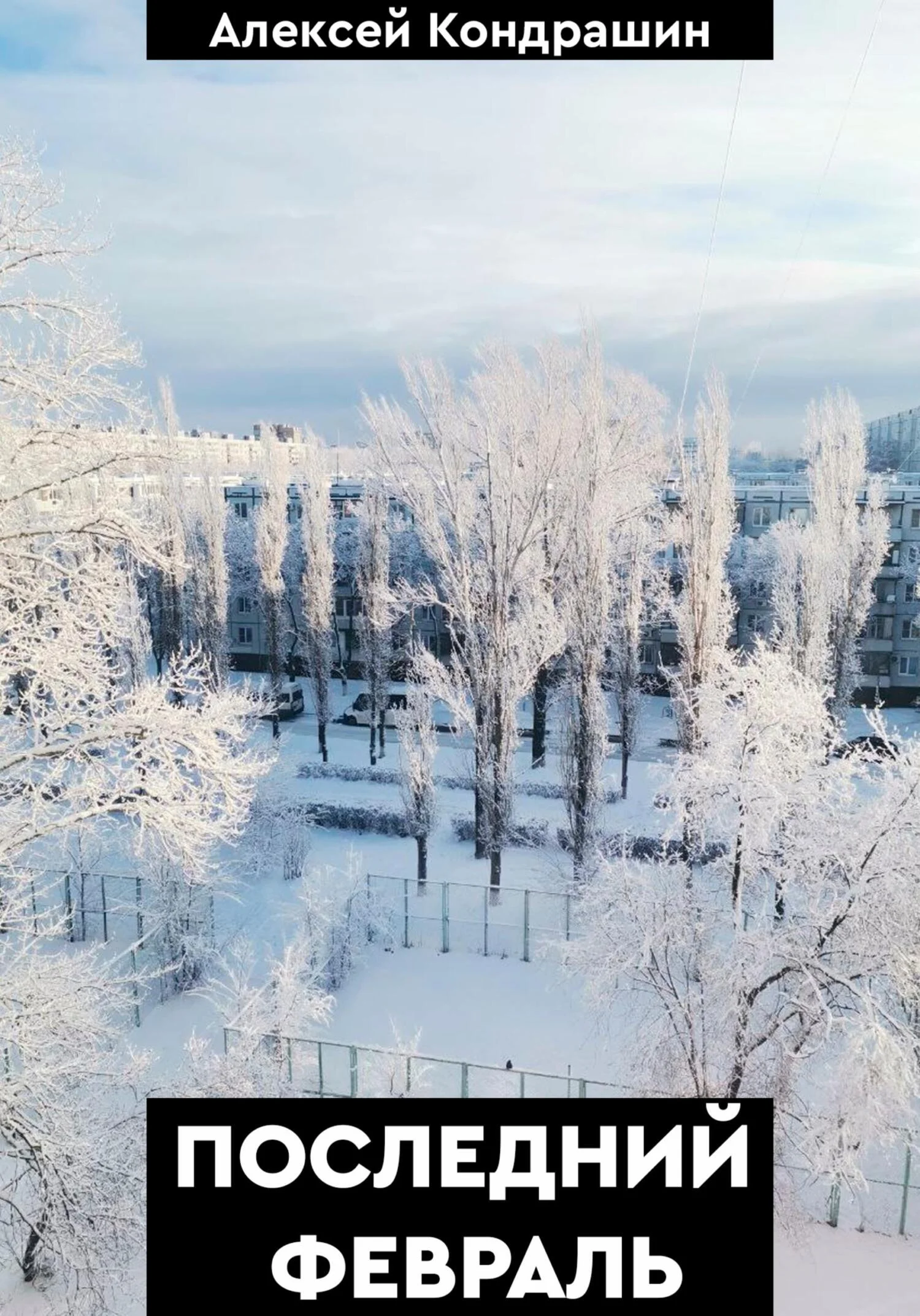Обложка Последний февраль