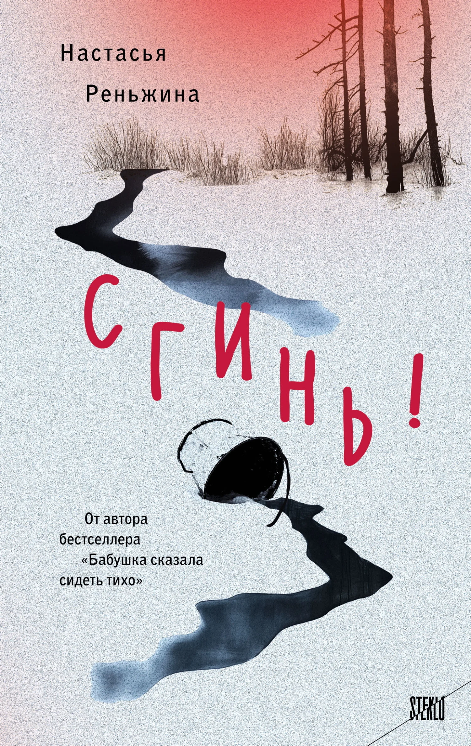 Обложка Сгинь!