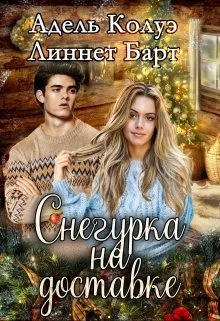 Обложка Снегурка на доставке (СИ)
