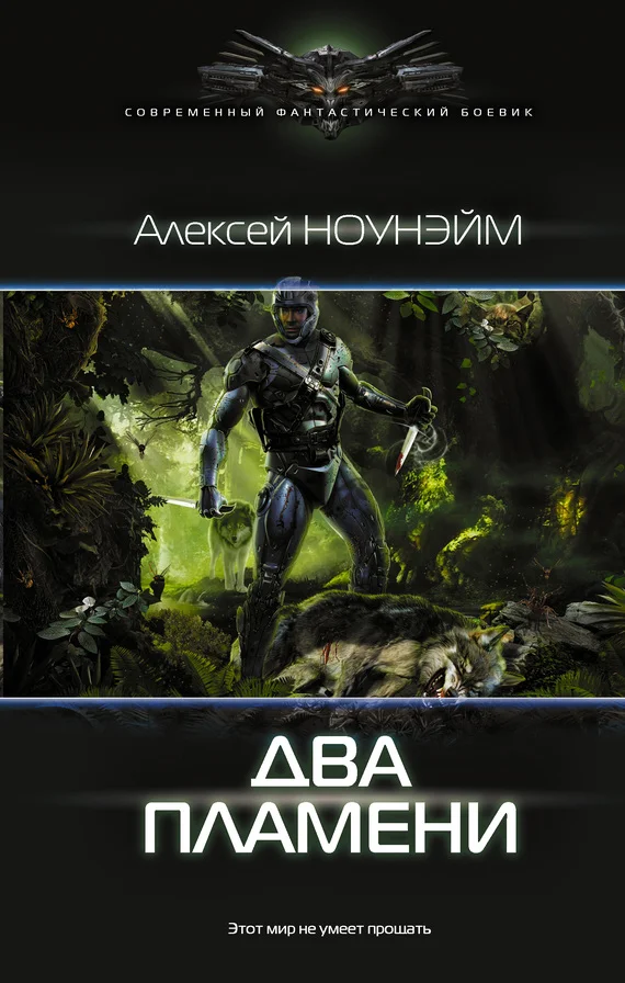 Обложка Два пламени
