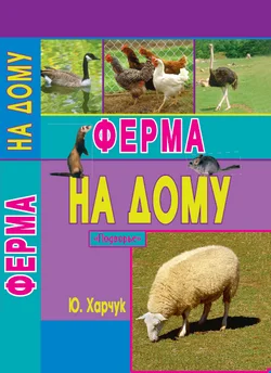 Обложка Ферма на дому