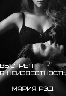 Обложка Выстрел в неизвестность