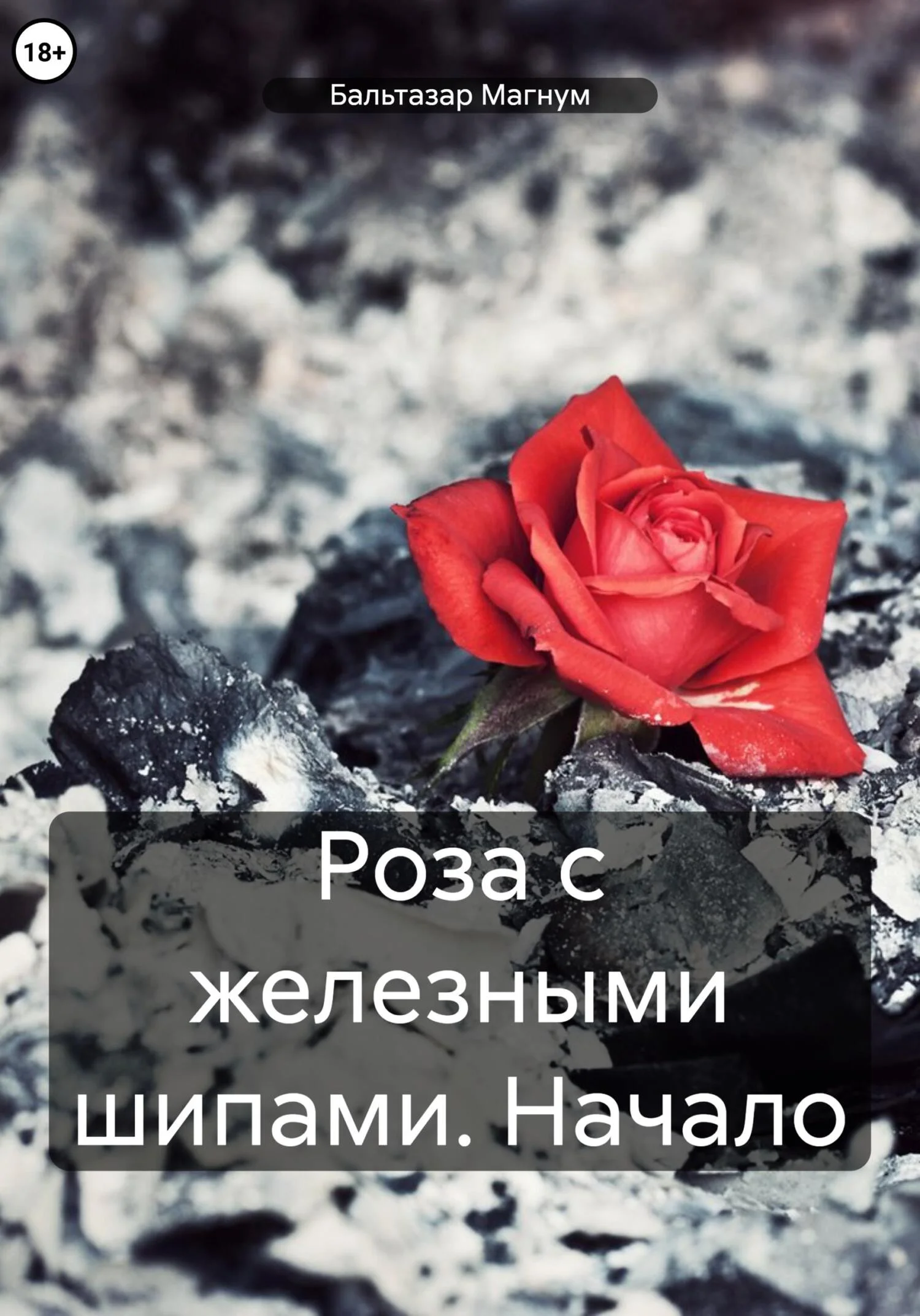 Обложка Роза с железными шипами: Начало