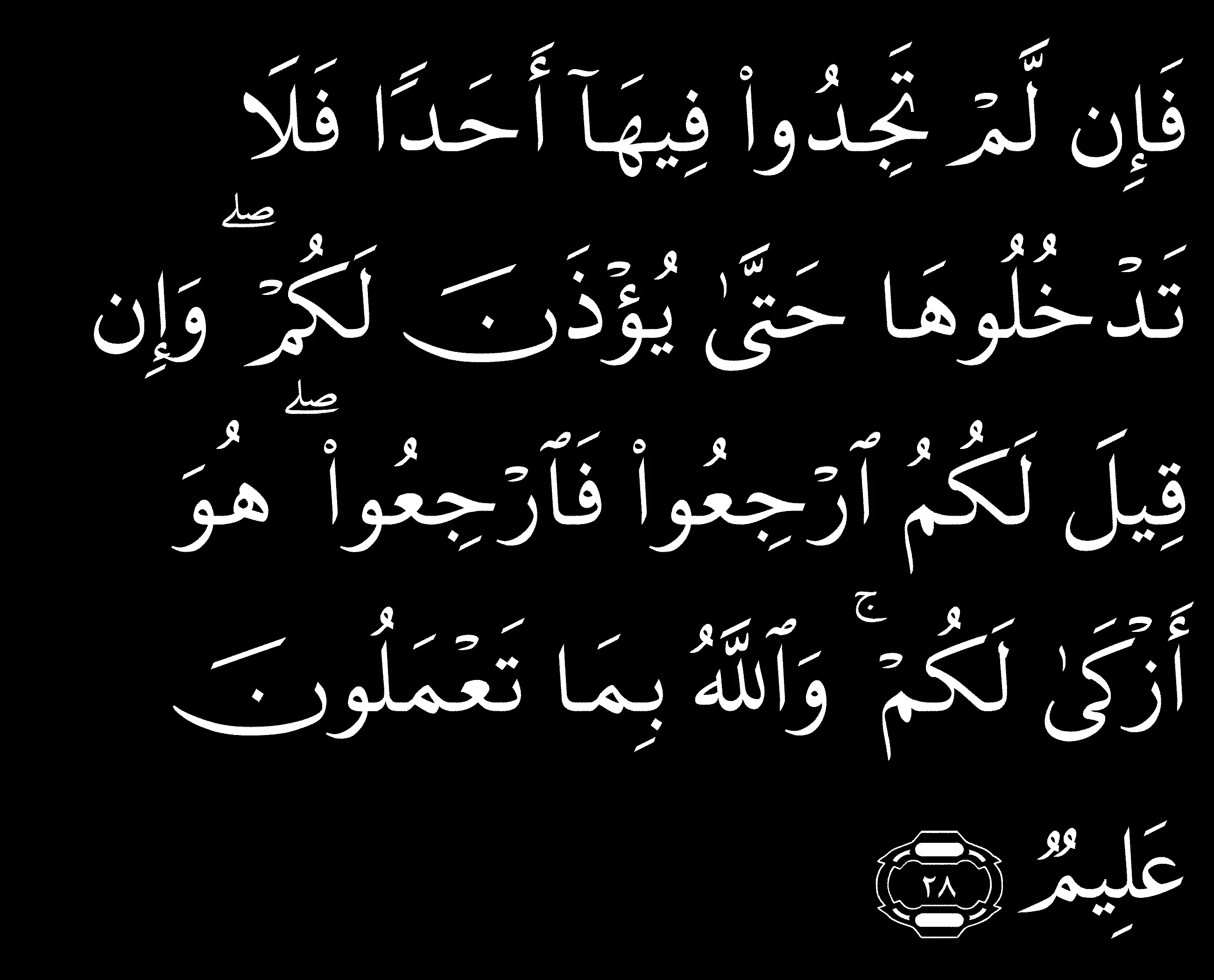 Обложка Умар бин аль-Хаттаб