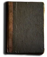 Обложка Невеста лорда (СИ)