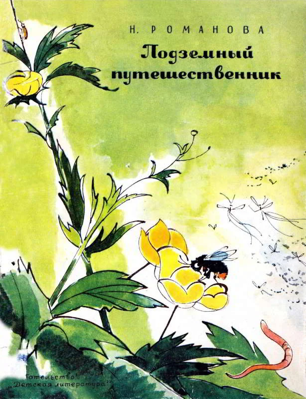 Обложка Подземный путешественник