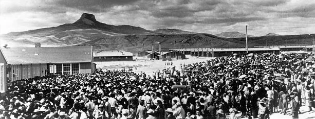 Обложка За что Сталин выселял народы?