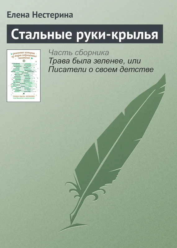Обложка Стальные руки-крылья