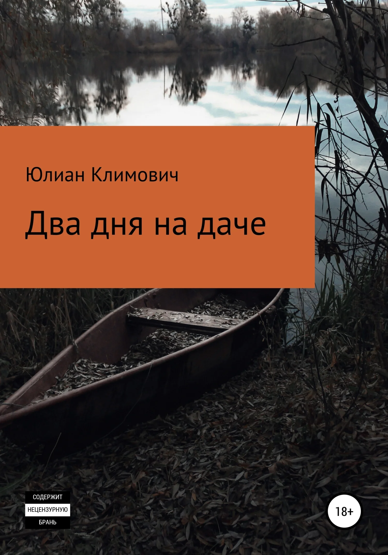 Обложка Два дня на даче