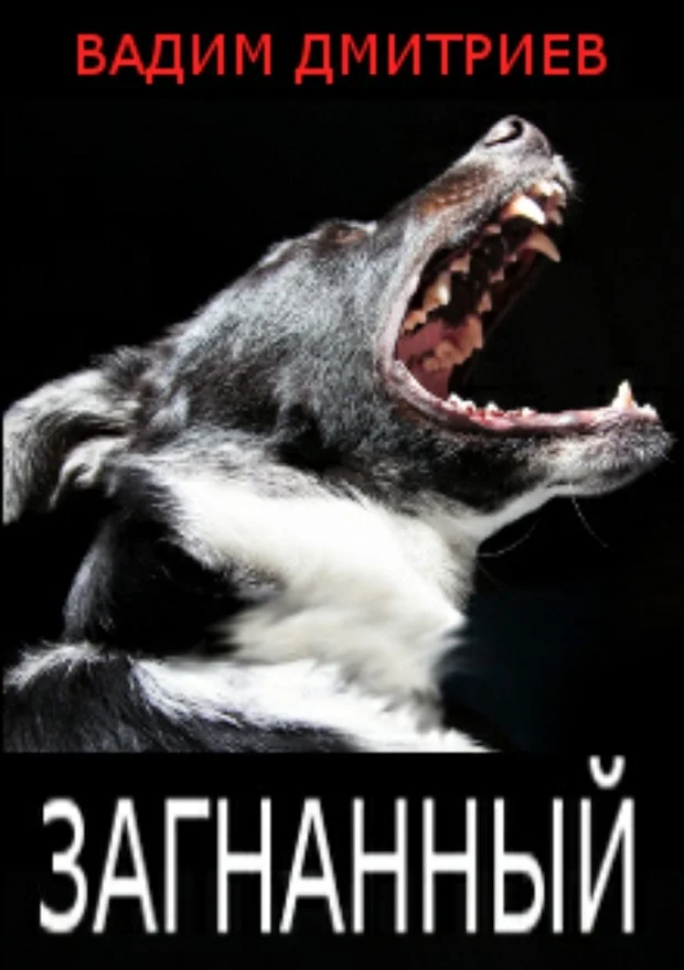 Обложка Загнанный