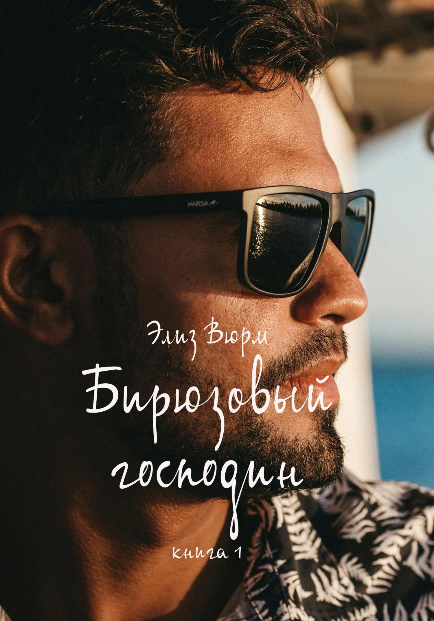Обложка Бирюзовый господин. Книга 1