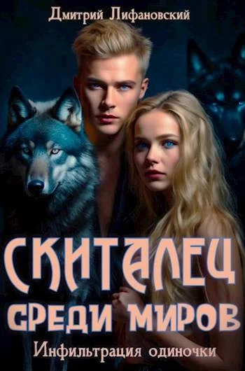 Обложка Скиталец среди миров