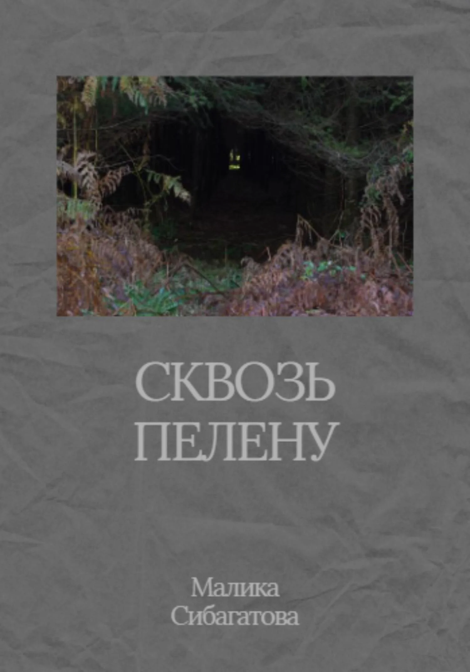 Обложка Сквозь пелену