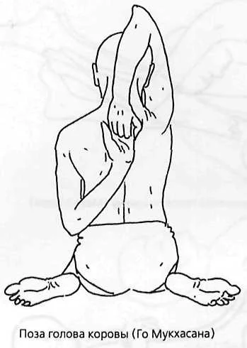 Обложка Домашние средства Аюрведы