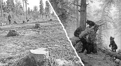 Обложка Литературная Газета, 6543 (№ 08/2016)