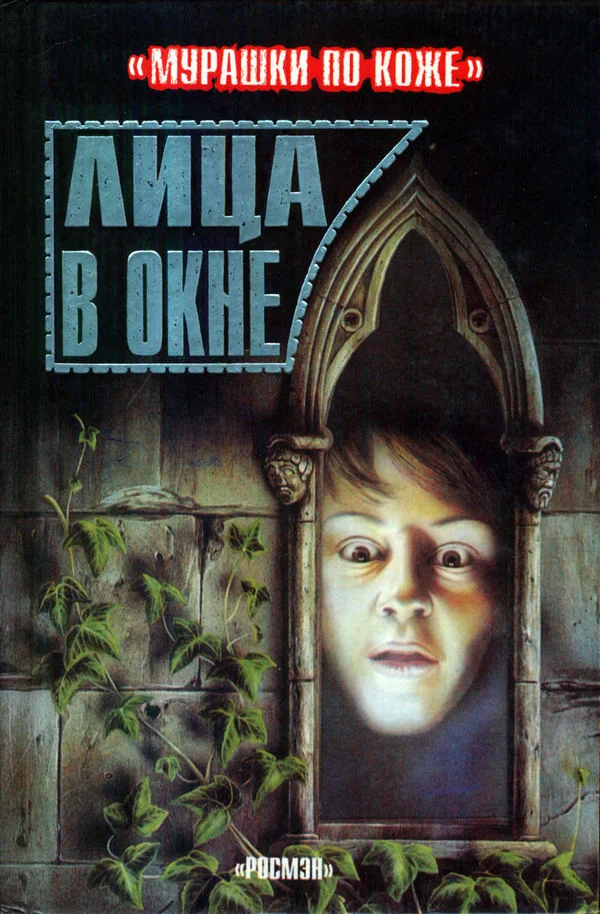 Обложка Лица в окне