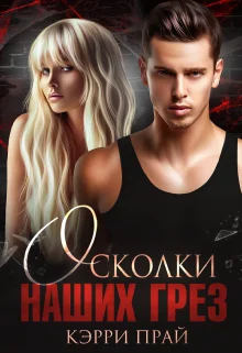 Обложка Осколки наших грез