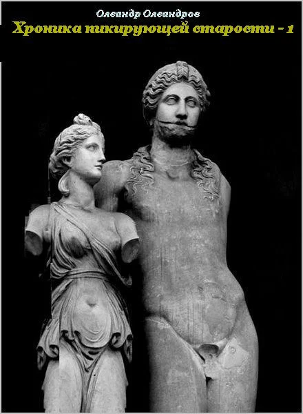 Обложка Хроника пикирующей старости – 1