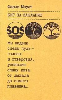 Обложка Кит на заклание